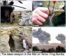 Frog-Bombs.jpg