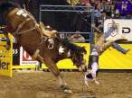 rodeo_chute.jpg