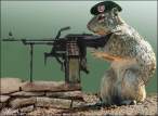 animal_rebellion2.jpg