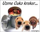 cuko.png