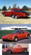starbird.jpg