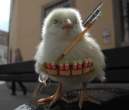 rambo_chick.jpg