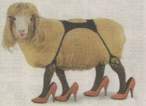 yorkshiresheep.jpg