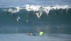 surfing-dolphins.jpg