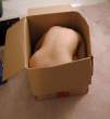 24c_in_the_box.jpg
