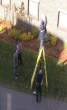 how many city workers does it take to change a lightbulb.jpg