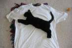 puma.jpg