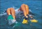 Dive.jpg