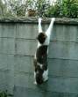 Hanging.jpg