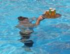 Beer.jpg