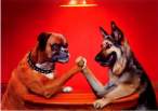Drinking dogs.jpg