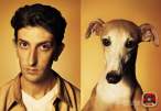 DOG4.JPG