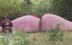 Painted rocks.jpg