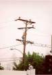 16000 volts [extra] 01.jpg