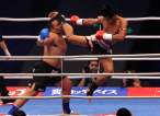 Flying Kick.jpg