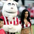 Happy mascot.jpg
