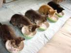 Feeding time.jpg
