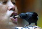 bird.jpg