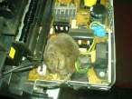 mouse_print_1.jpg