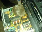 mouse_print_2.jpg