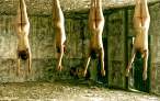 Hanging.jpg