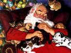 santa.jpg