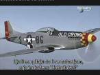 mustang 5.jpg