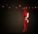 Santa's little helper.jpg