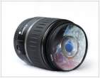 Fish eye.jpg