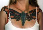 Butterfly.jpg