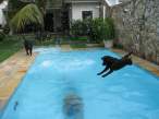 Poolfun.jpg
