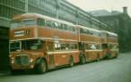 Buses Everywhere.jpg
