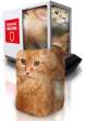 Square Cat Machine.jpg