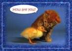 How are you.jpg