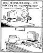 Net chat.gif