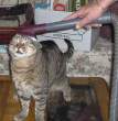 Cleaning time.jpg