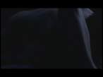 ScreenShot038.jpg