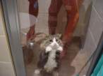 Sad sad kitty.jpg