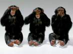 Monkeys.jpg