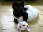 Black and white.jpg