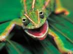 Green.jpg
