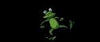 Zzabica.GIF