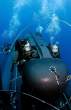 sealsub18tr.jpg