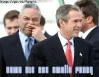 BUSH3.JPG