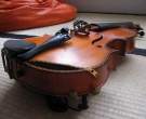 Violin.jpg