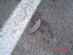 porsche_mega_crash_12.jpg