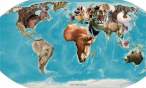 Living world.jpg