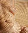 Pattern [18+].jpg