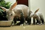 Feeding time.jpg