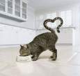 Love at the first taste.jpg